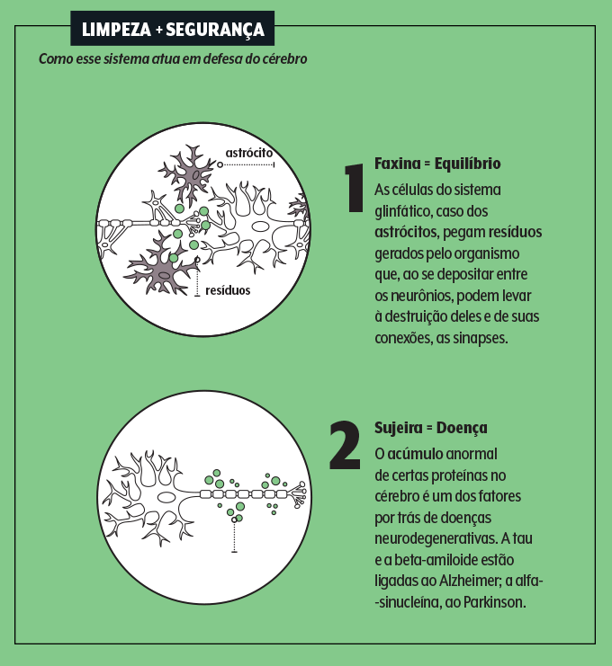 ilustração do sistema glinfático