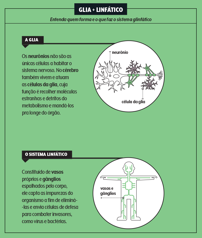 ilustração da glia e do sistema linfático