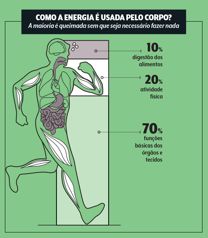 como o corpo gasta calorias