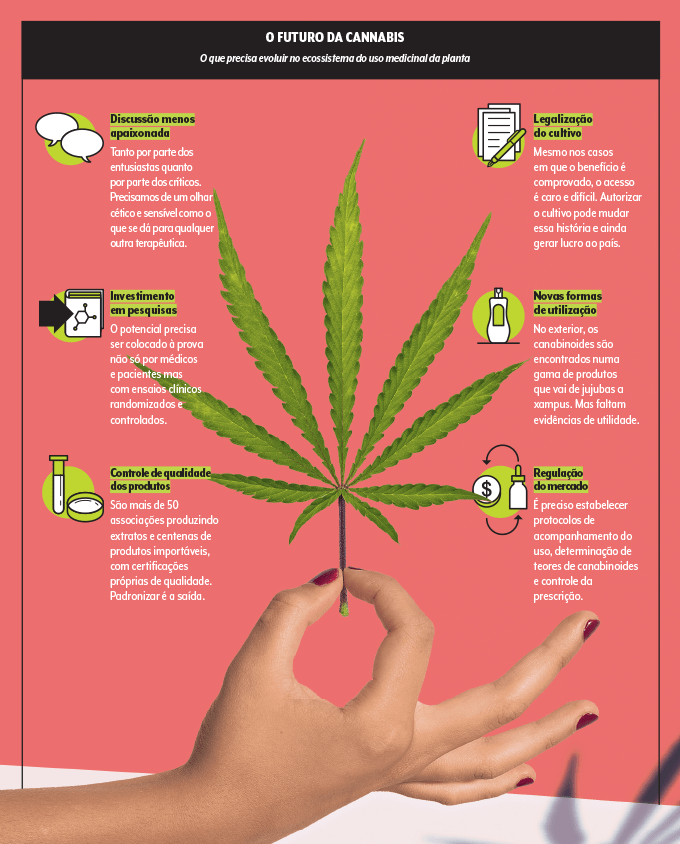 futuro da cannabis