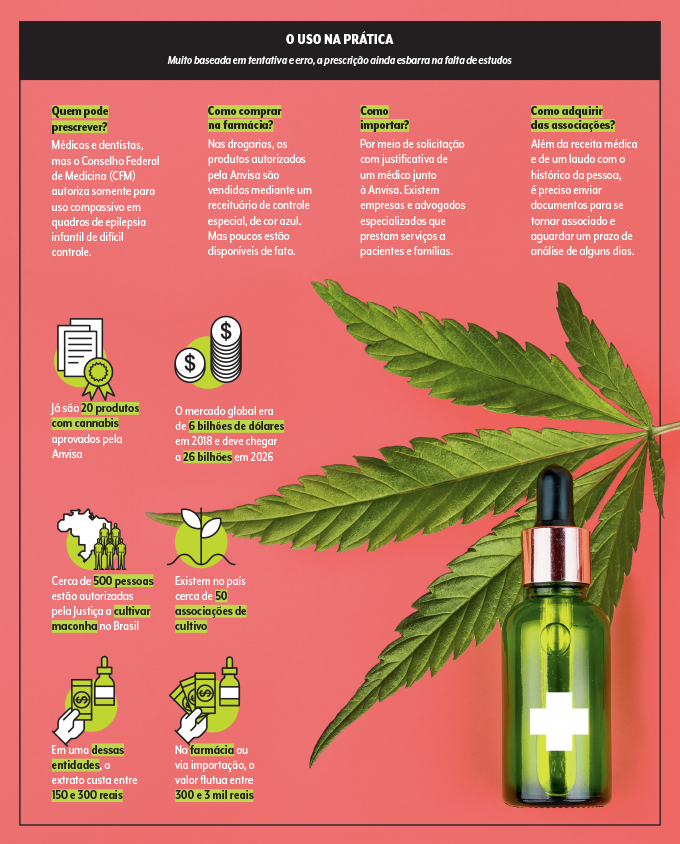 uso da cannabis medicinal hoje no Brasil