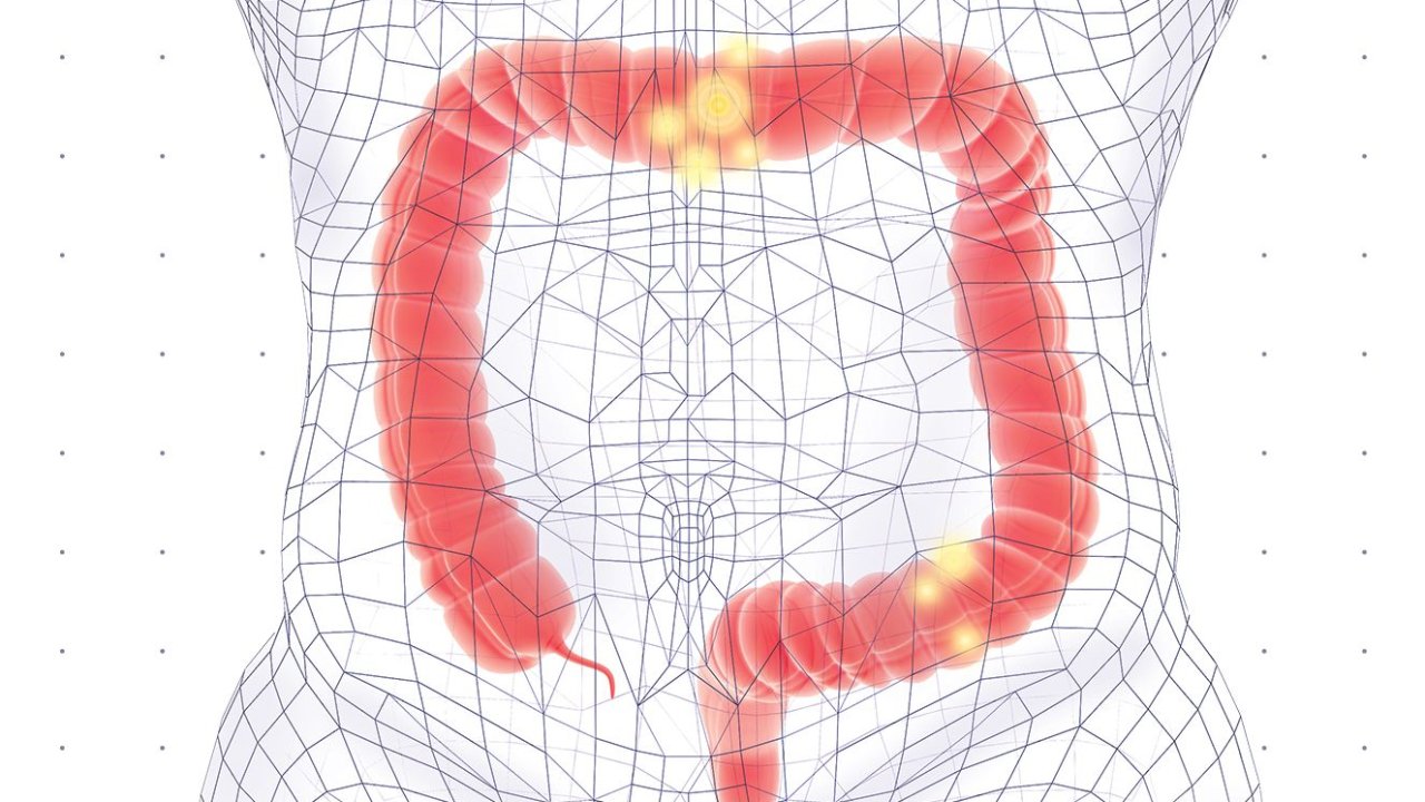 Desenho de corpo transparente com intestino em destaque