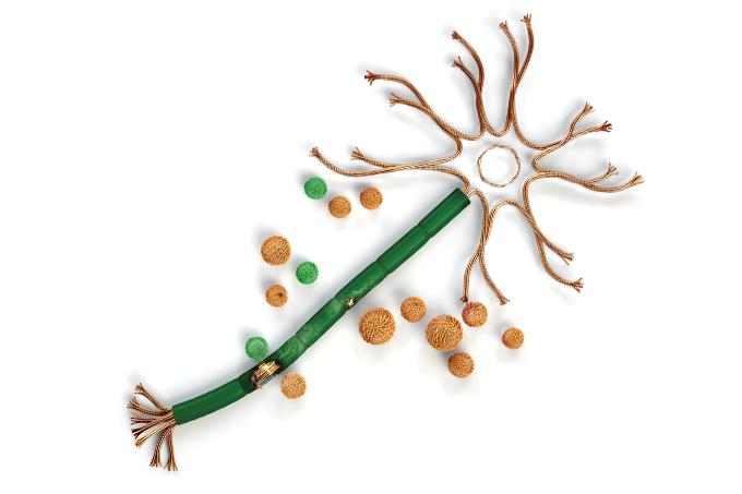ilustração de neurônio