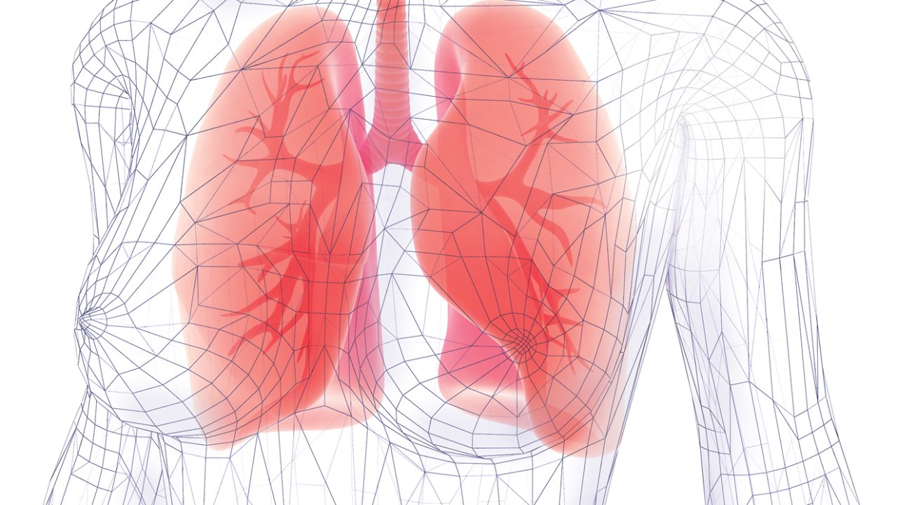 Ilustração de corpo vetorizado, com pulmões em destaque, na cor vermelha