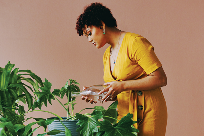 foto de mulher regando planta