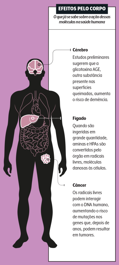 efeitos dos alimentos queimados para o corpo