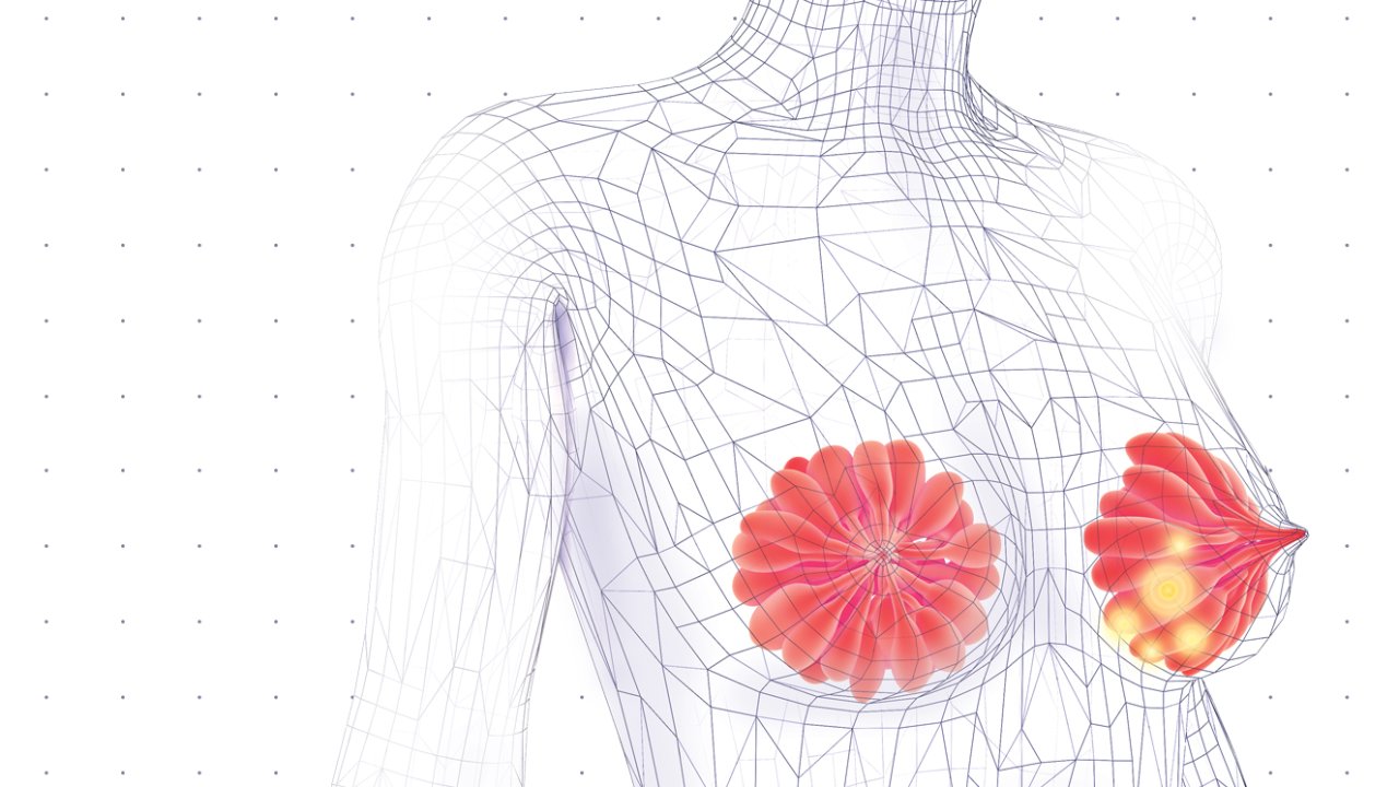 ilustração tridimensional de corpo com as mamas em destaque