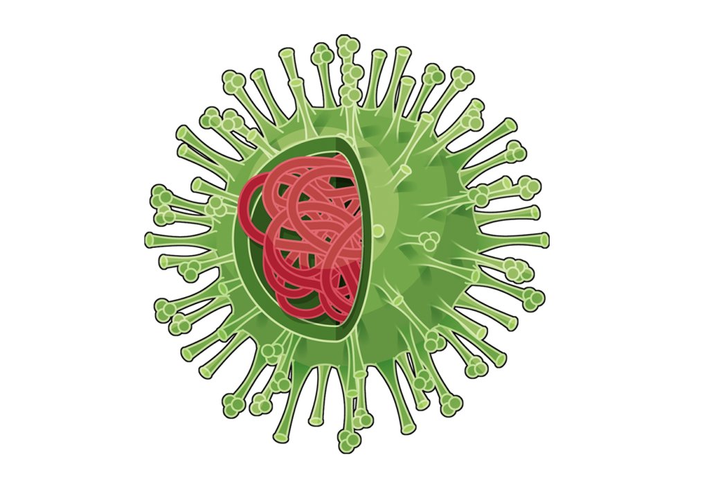 desenho de vírus da gripe