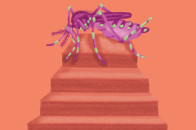 ilustração de piramide com mosquito da dengue no topo