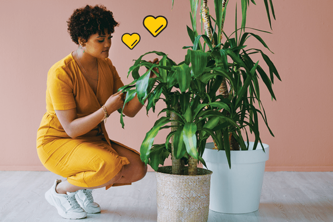 Jardinagem comunitária melhora dieta e reduz estresse e ansiedade