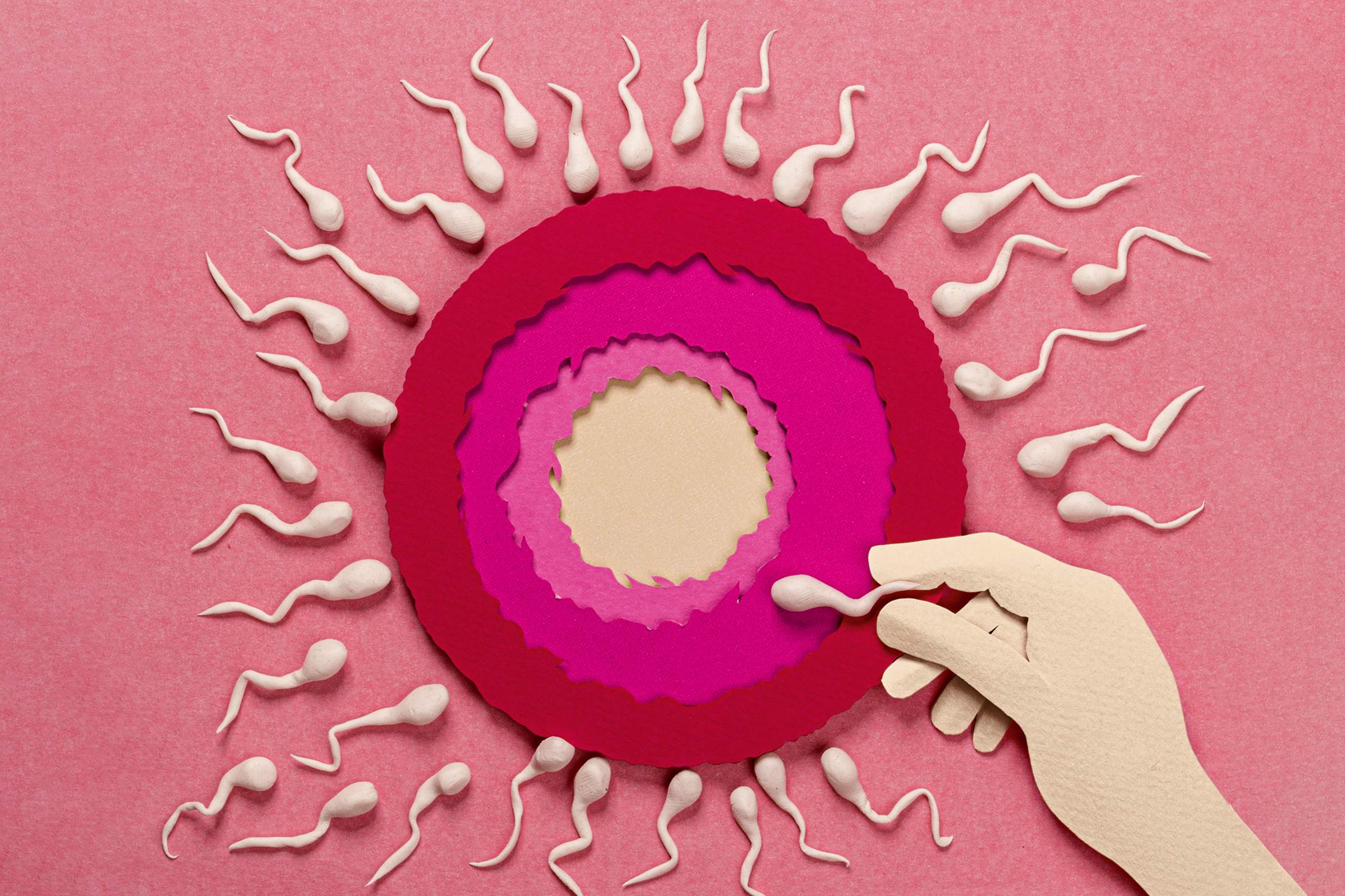Menstruação: o que é, ciclo e ovulação - Toda Matéria
