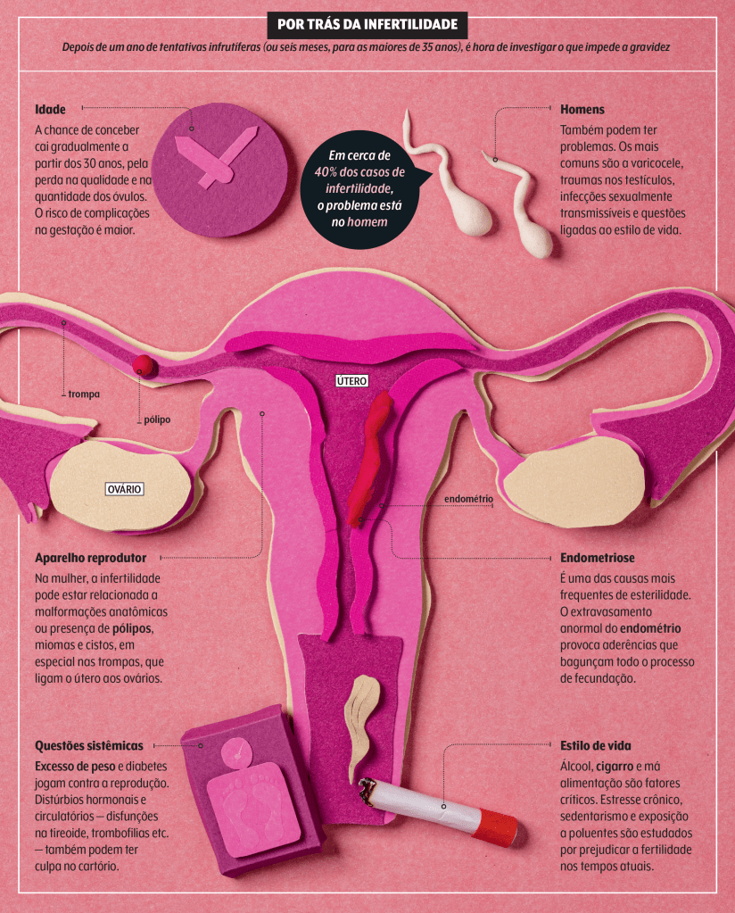 quadro com causas da infertilidade