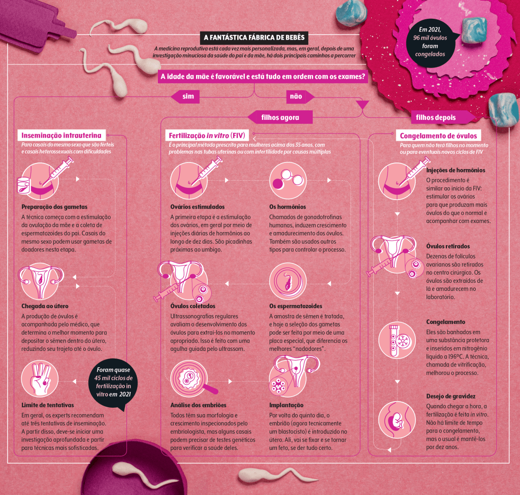 quadro explicando como funciona a fertilização in vitro e o congelamento de óvulos