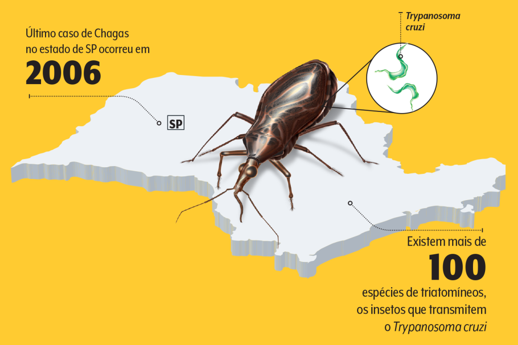 doença de chagas em são paulo