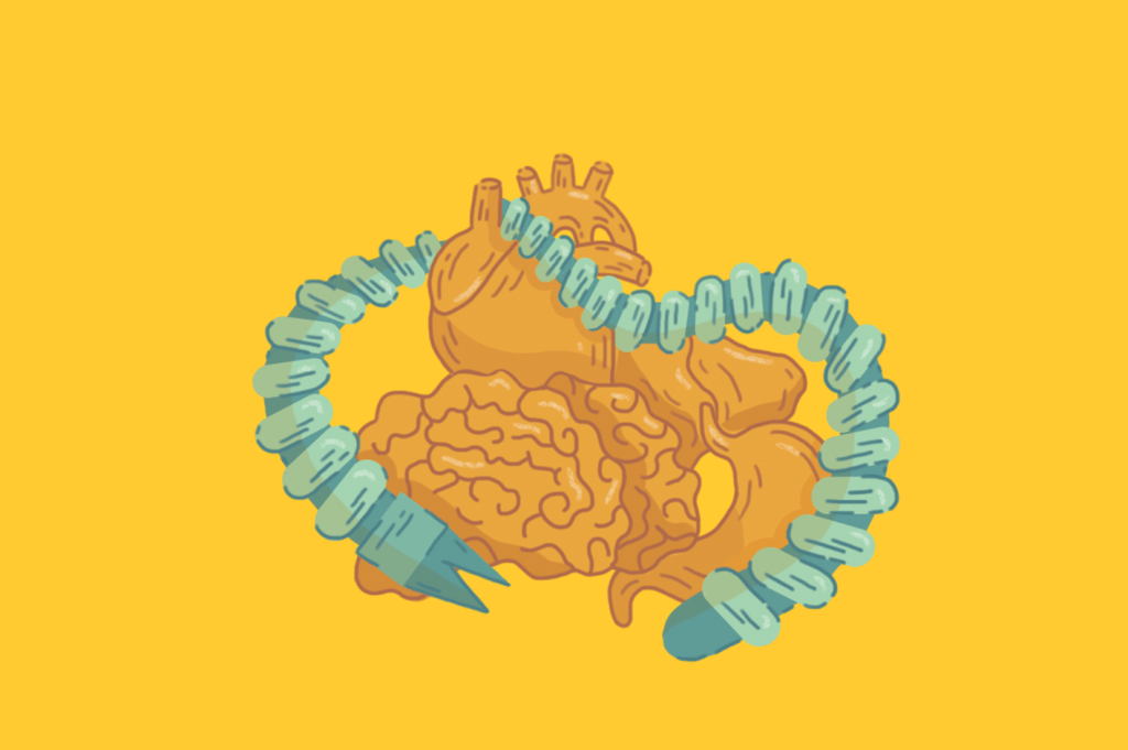 ilustração do dispositivo entre órgãos