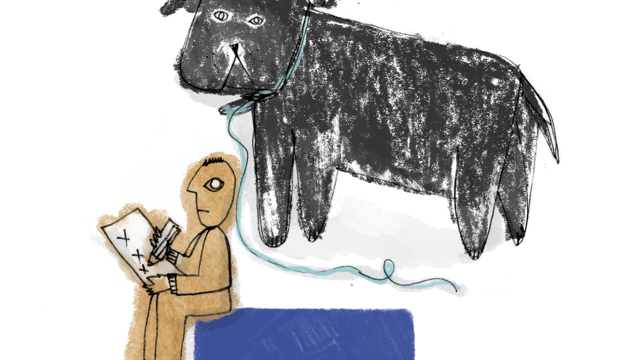 ilustração de pessoa escrevendo com cachorro ao fundo