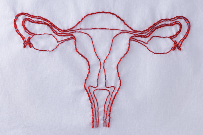 foto de aparelho reprodutor feminino feito de linhas de costura