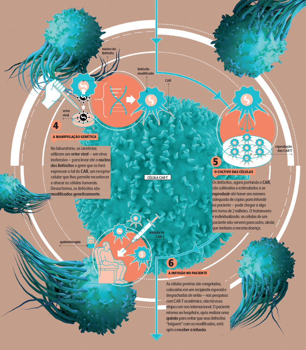 infográfico da terapia celular
