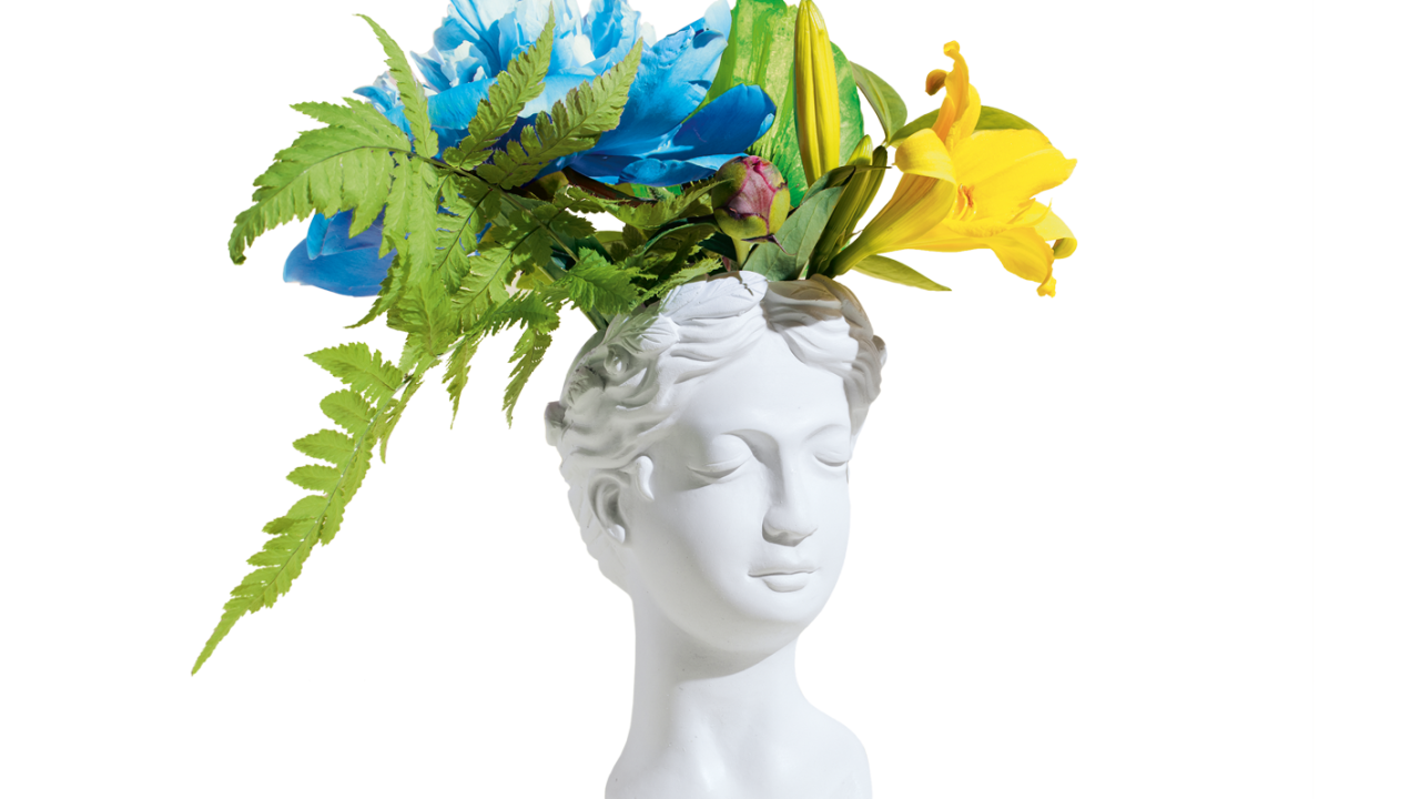 foto de cabeça de estátua grega com plantas em cima dela