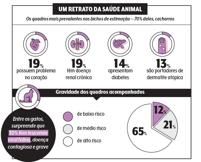492-bichos-grafico-doenças-prevalentes 492-bichos-grafico-doenças-prevalentes