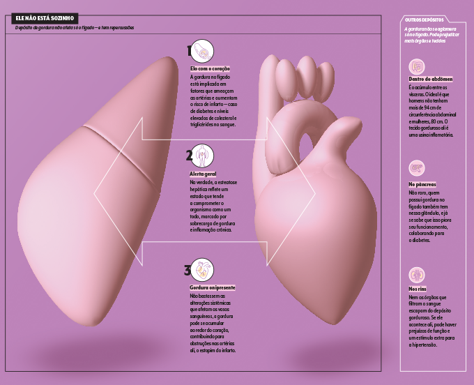 esquema sobre riscos ao fígado e demais órgãos