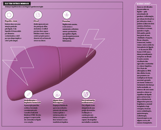 esquema mostra inimigos do fígado