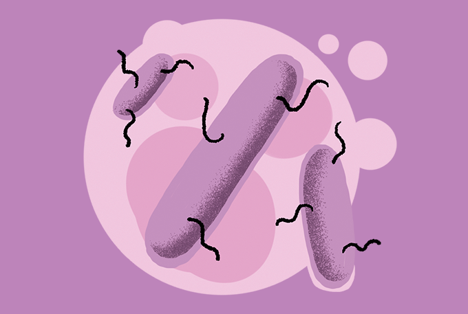 ilustração de bactérias