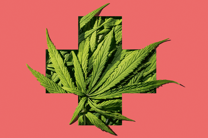cannabis-medicinal-lei-brasil
