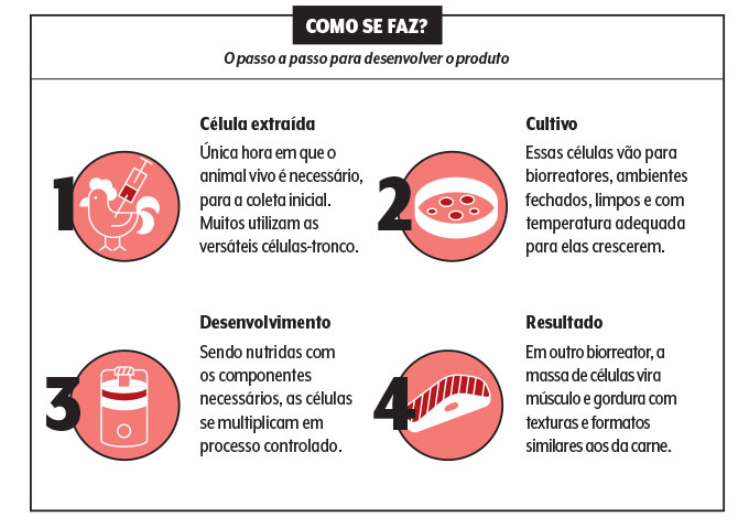 INFO VERTICAL CÉLULAS