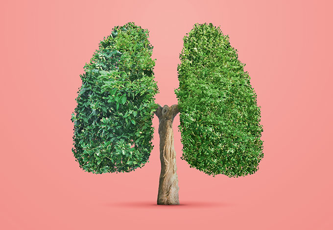 areas-verdes-doencas-respiratorias