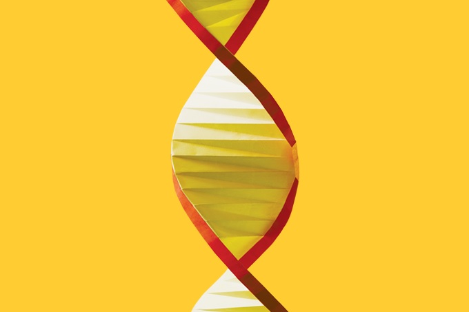 dna-genetica-genoma