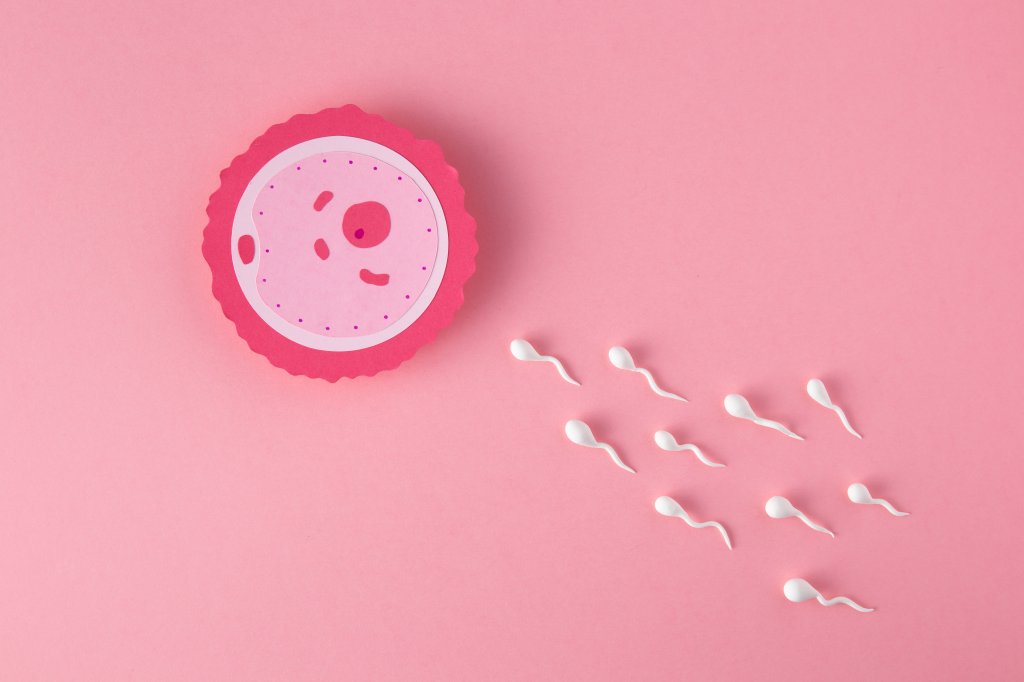 saude-mulher-fertilidade-infertilidade-reproducao