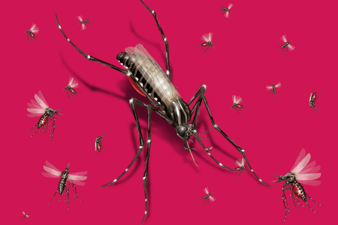 497-materia-mosquitos-abre