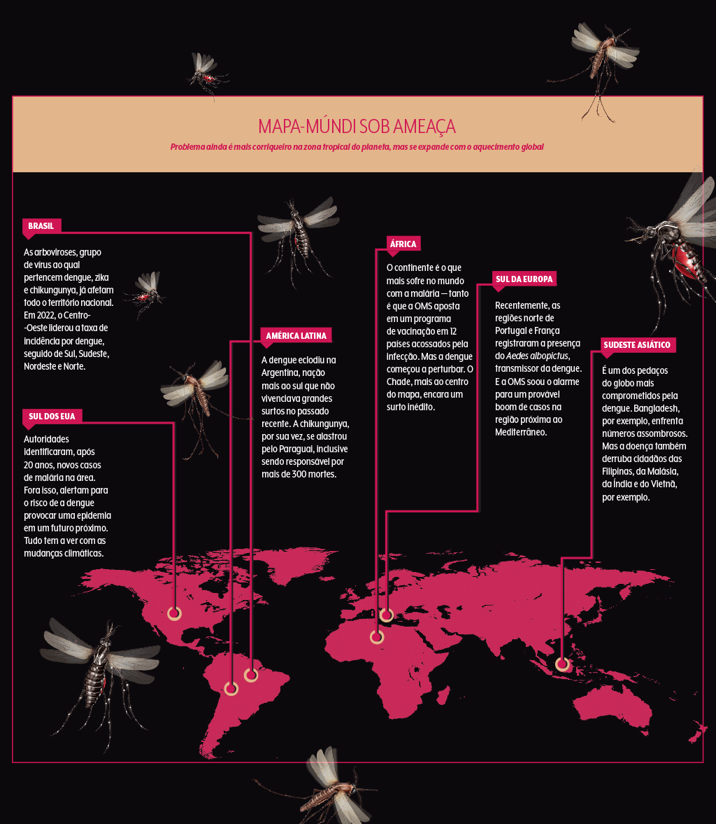 497-materia-mosquitos-quadro-mapa-mundi