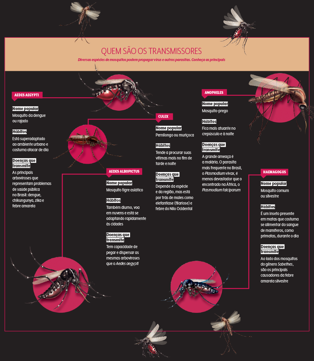 497-materia-mosquitos-quadro-transmissores