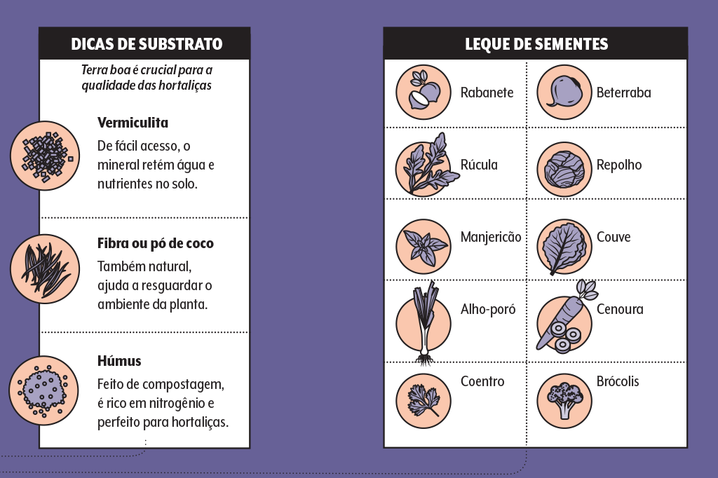 alimentacao-microverdes-quadro-substrato-sementes