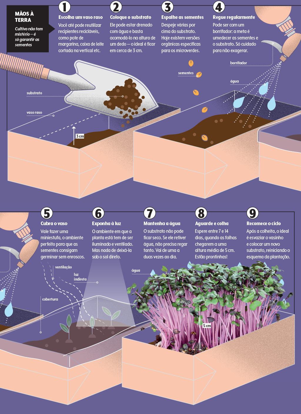 alimentacao-microverdes-como-plantar