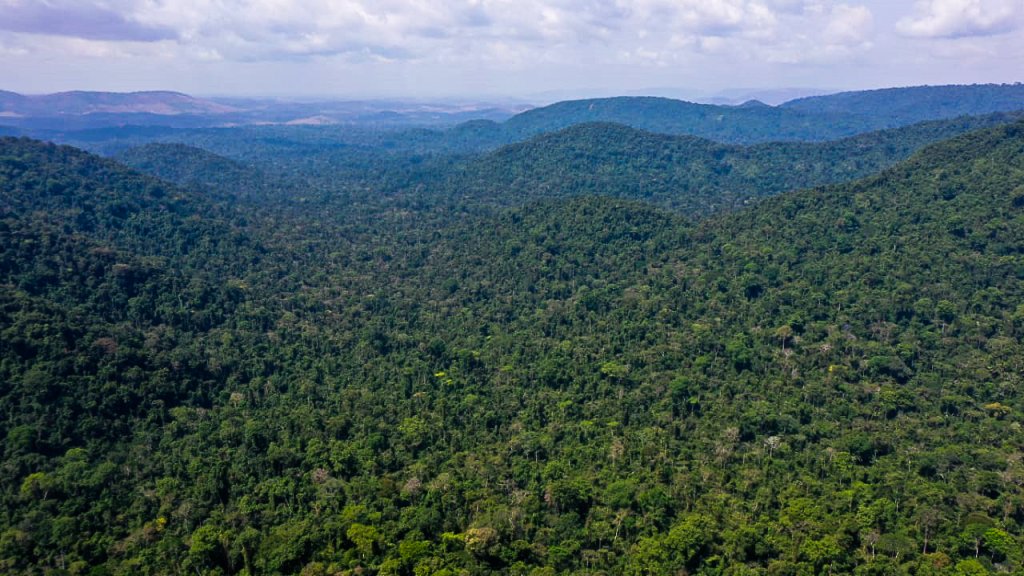 meio-ambiente-floresta-amazonica-amazonia-malaria