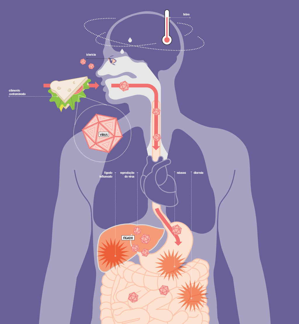 saude-vacina-imunizante-prevencao-hepatite-a-arte