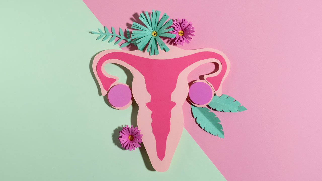 estradiol-o-que-significa-se-esta-alto-baixo-ovarios-policisticos-menopausa-puberdade-precoce