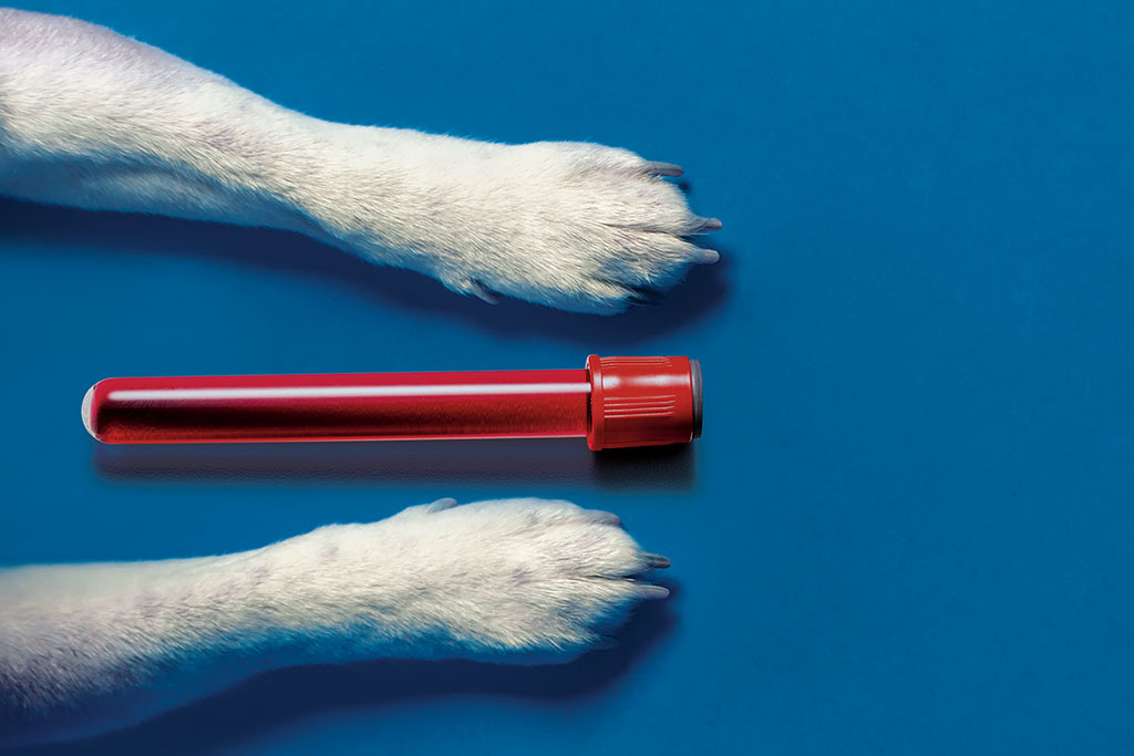 exame-sangue-cachorro