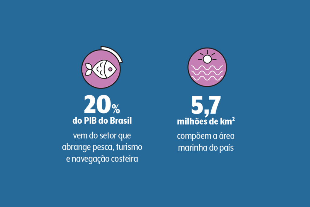 501-ecossistema-lixo-mar-dados numeros-mar-brasil