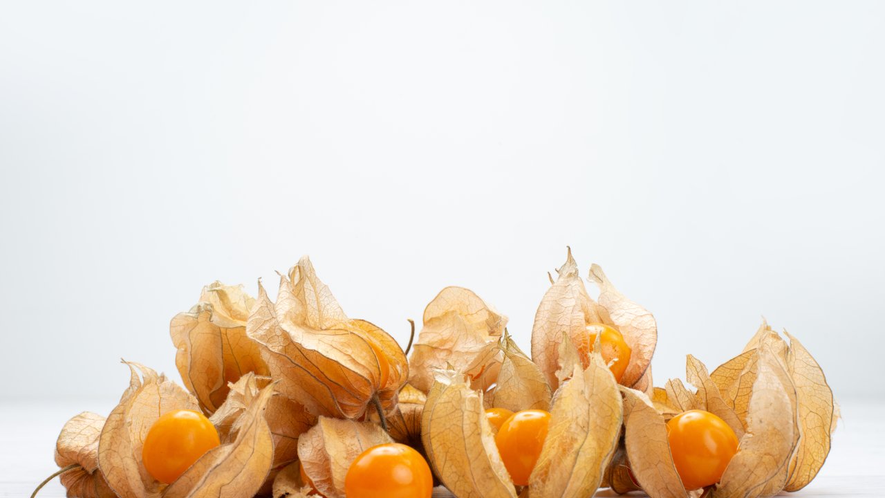 physalis-quais-os-beneficios-e-como-utilizar-na-alimentacao-fisalis-joa-camapu