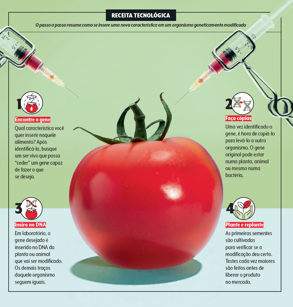 saude-alimentacao-alimentos-transgenicos-tecnologia