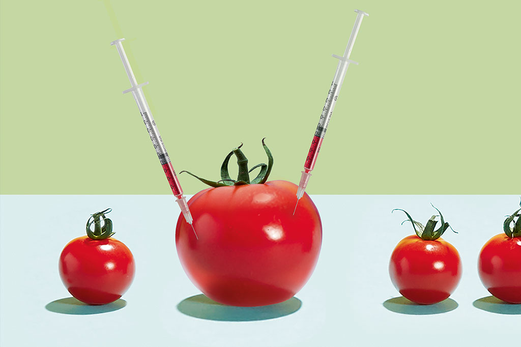 Enquete: você tem receio de alimentos transgênicos?