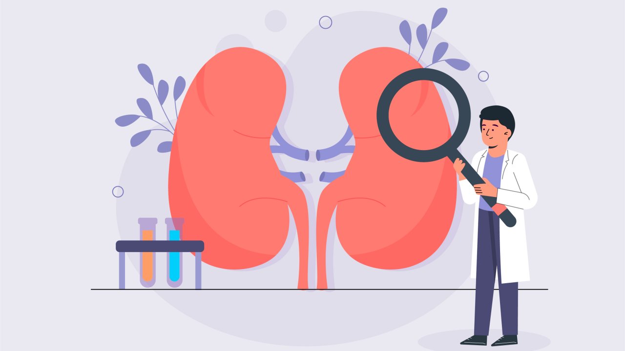 saude-nefrologia-rins-rim-calculo-doenca-renal-diagnostico-prevencao