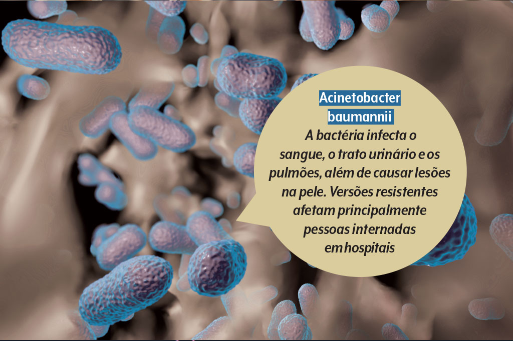saude-supermicrobios-resistencia-antimicrobiana-bacteria-acinetobacter-baumannii