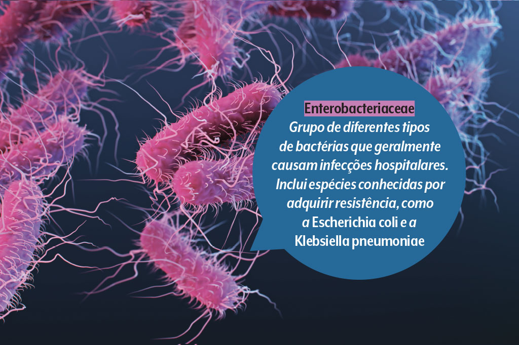 saude-supermicrobios-resistencia-antimicrobiana-bacterias-enterobacteriaceae