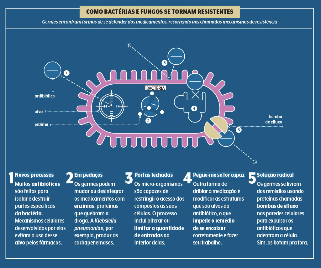 saude-supermicrobios-resistencia-antimicrobiana-como-bacterias-fungos-tornam-resistentes