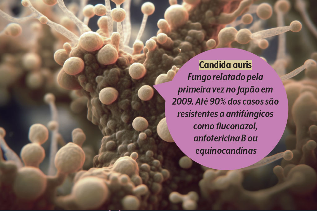 saude-supermicrobios-resistencia-antimicrobiana-fungo-candida-auris